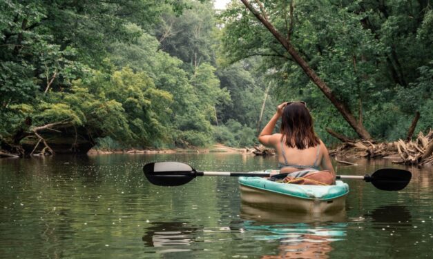 4 Reasons To Add Kentucky’s Beautiful Kentucky Lake and Lake Barkley To Your Summer Bucket List